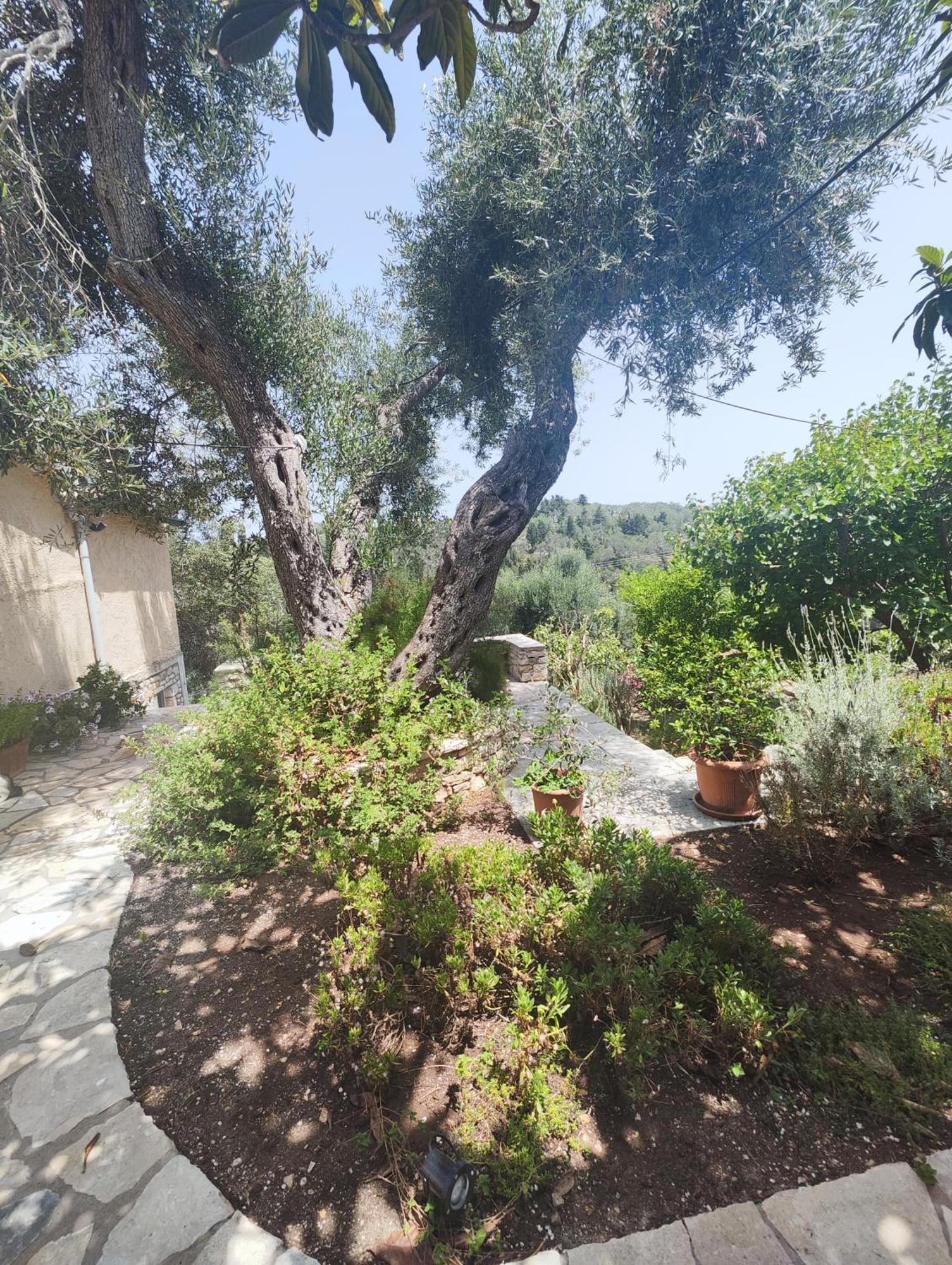 Rania'S Cottage Lákka 外观 照片