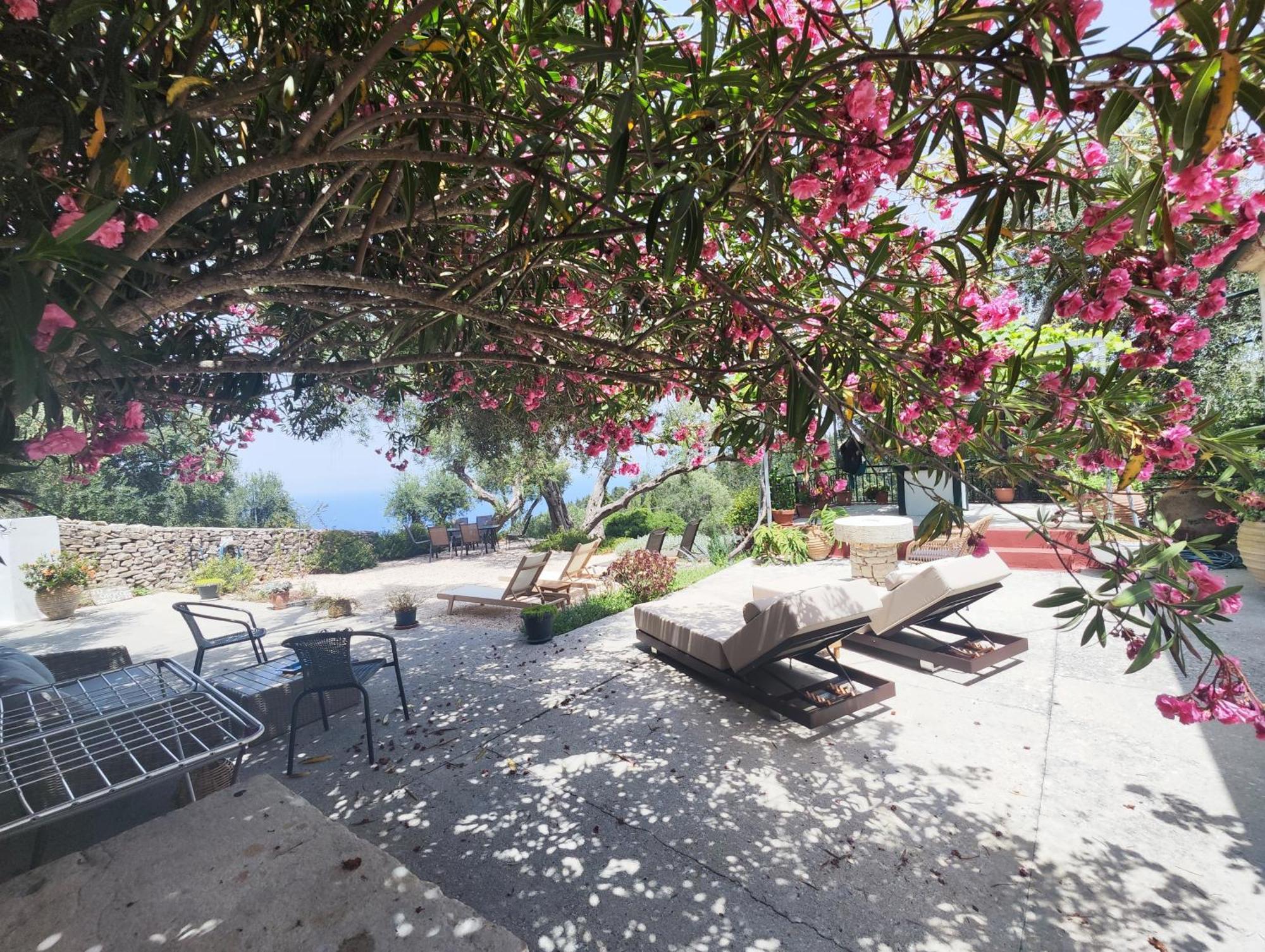 Rania'S Cottage Lákka 外观 照片