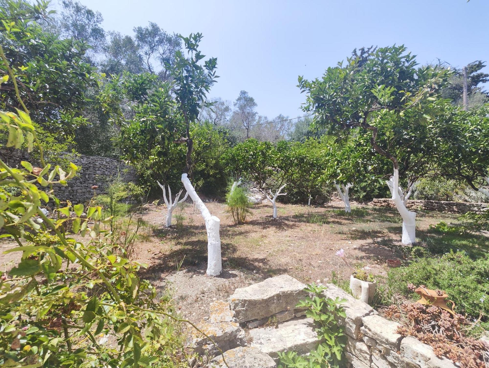 Rania'S Cottage Lákka 外观 照片
